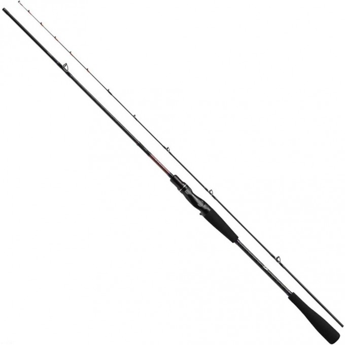 Спиннинг DAIWA Prorex XR 2,40м 30-70гр 11331-243 Спиннинг DAIWA Prorex XR 2,40м 30-70гр 11331-243